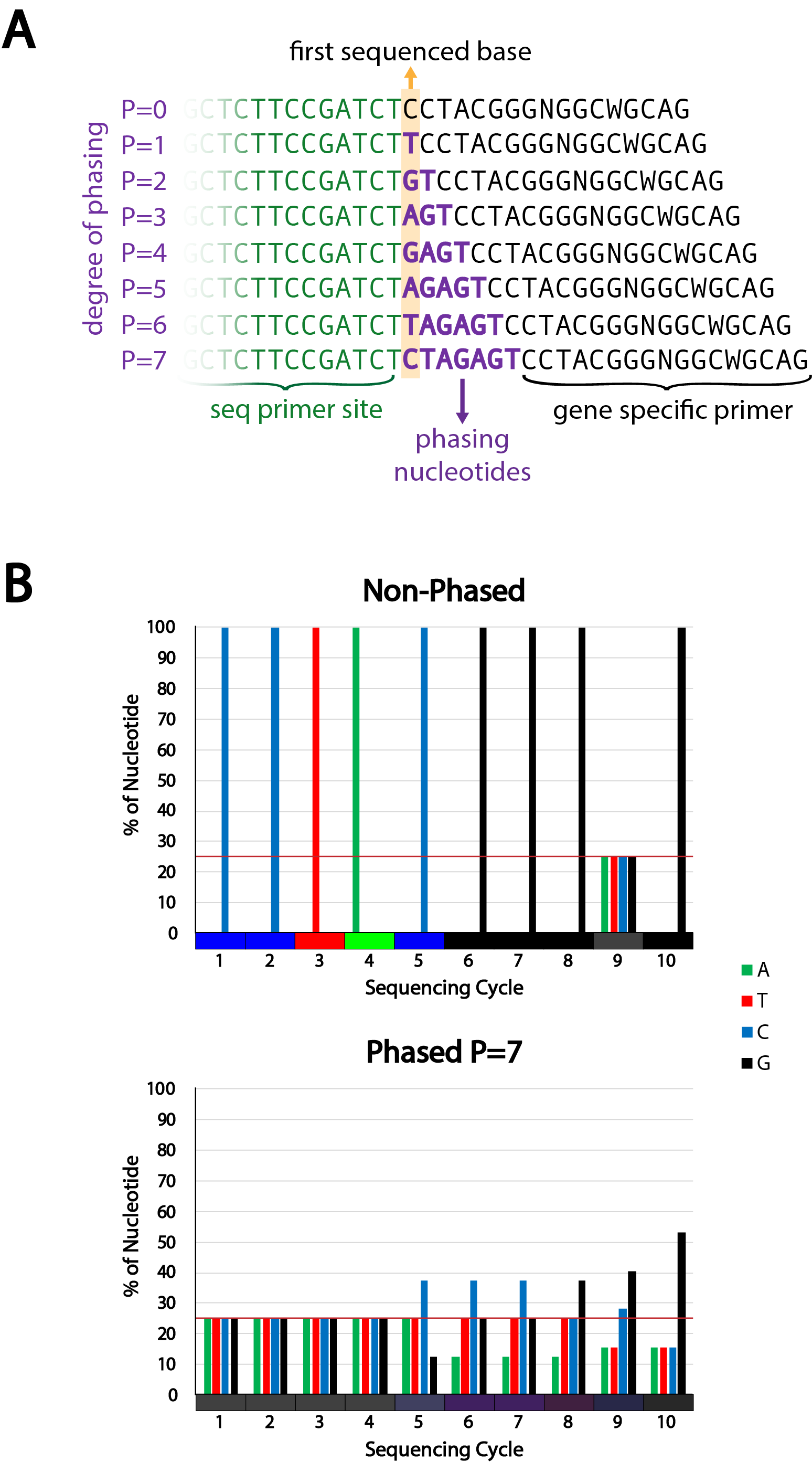 NGI Sweden » Tech Note: Increased Complexity Of Amplicon Libraries ...