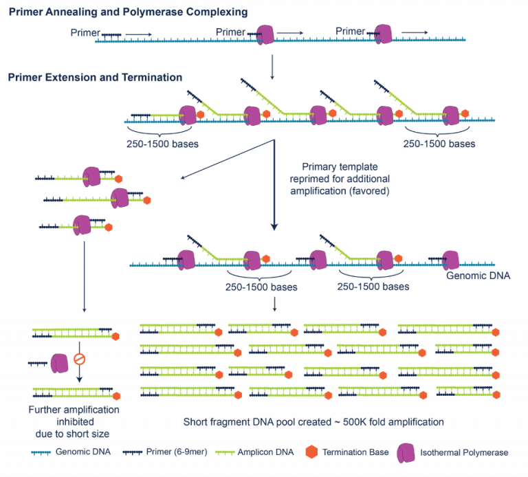 NGI Sweden » Single-cell whole genome sequencing (scWGS)